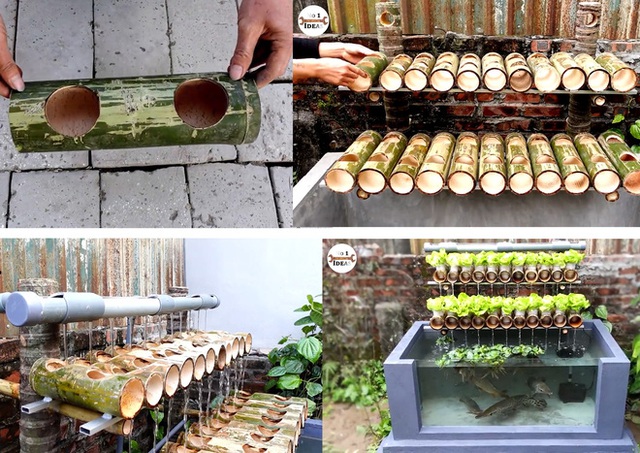 Làm thế nào để kết hợp vườn rau sạch và bể cá khi không gian sân nhà bạn quá chật hẹp? - Ảnh 2.