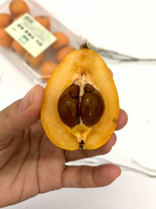 Nhật Bản có loại quả mọc dại đầy đường không ai hái, về đến Việt Nam có giá lên tới 4 triệu/kg, chỉ dành cho hội nhà giàu? - Ảnh 5.