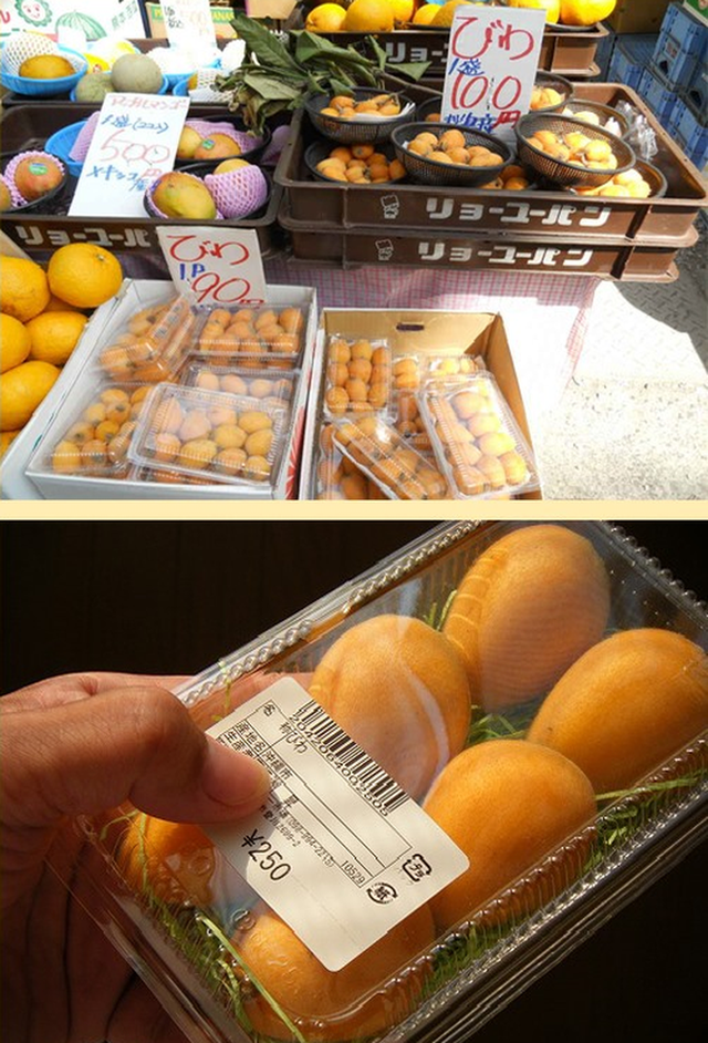 Nhật Bản có loại quả mọc dại đầy đường không ai hái, về đến Việt Nam có giá lên tới 4 triệu/kg, chỉ dành cho hội nhà giàu? - Ảnh 6.