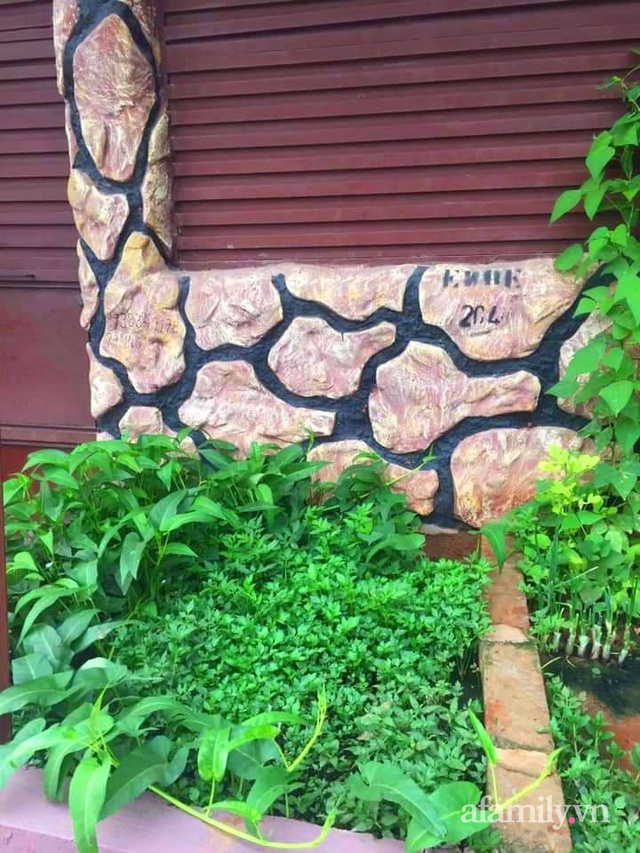 Khu vườn trước cửa xanh mát với đủ loại rau củ của chàng trai Việt ở châu Phi - Ảnh 8.