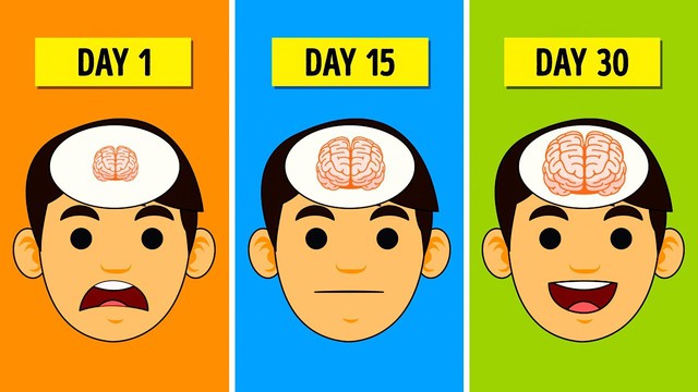12 cách đơn giản giúp não bộ được nghỉ ngơi, tăng cường trí nhớ và sự thông minh tăng vọt - Ảnh 5.
