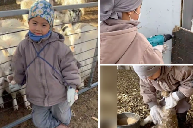 Cậu bé 5 tuổi khiến cư dân mạng Trung Quốc ngả mũ thán phục - Ảnh 1.