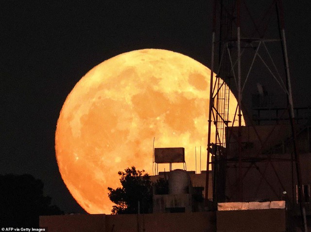 Ngắm siêu trăng cá tầm tỏa sáng khắp thế giới - Ảnh 4.