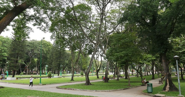 cafef.vn