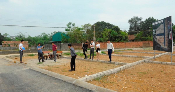 cafef.vn