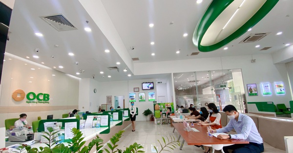 cafef.vn