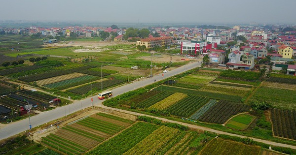 cafef.vn