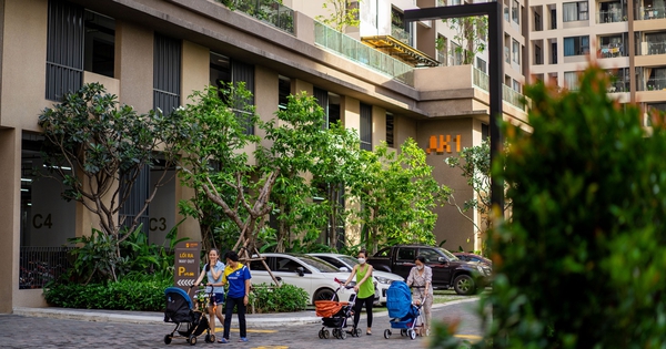 cafef.vn