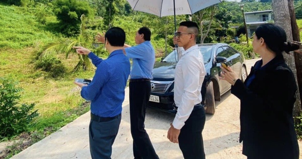 cafef.vn