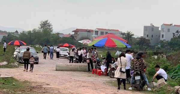 cafef.vn