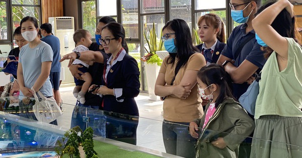 cafef.vn