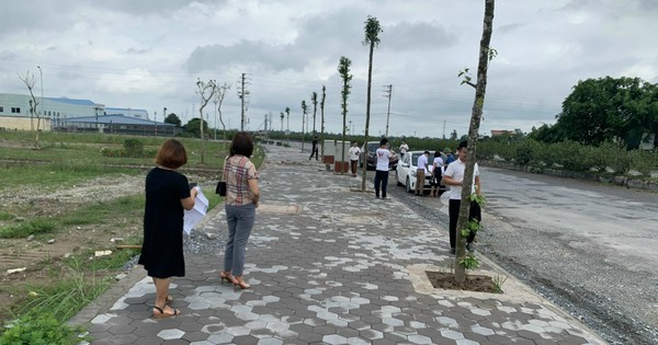 cafef.vn