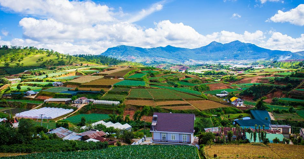 cafef.vn