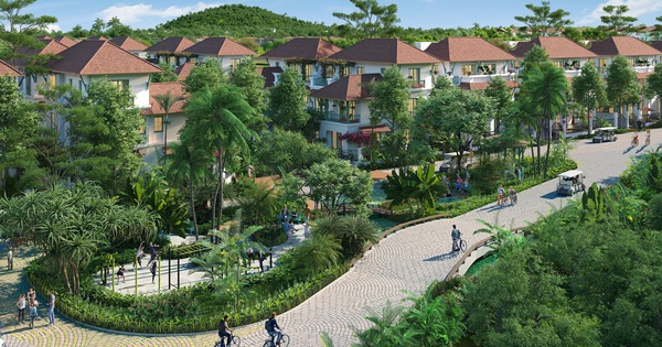 cafef.vn