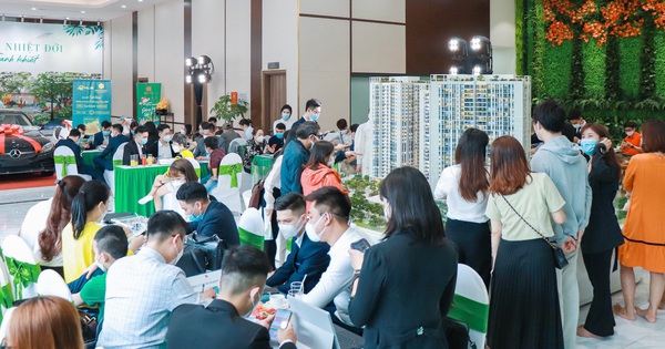 cafef.vn