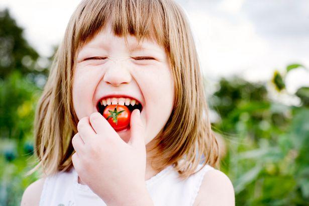 6 điều “đại kỵ” khi ăn cà chua, nếu không chú ý nguy cơ nhiễm độc tăng cao, gây nguy hiểm đến sức khỏe - Ảnh 2.